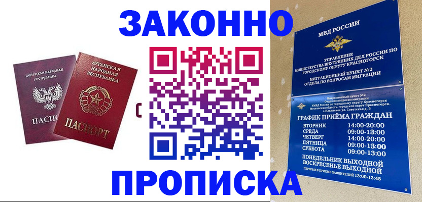 прописка в Элисте
